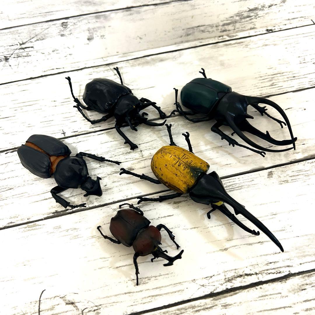 昆虫　フィギュア