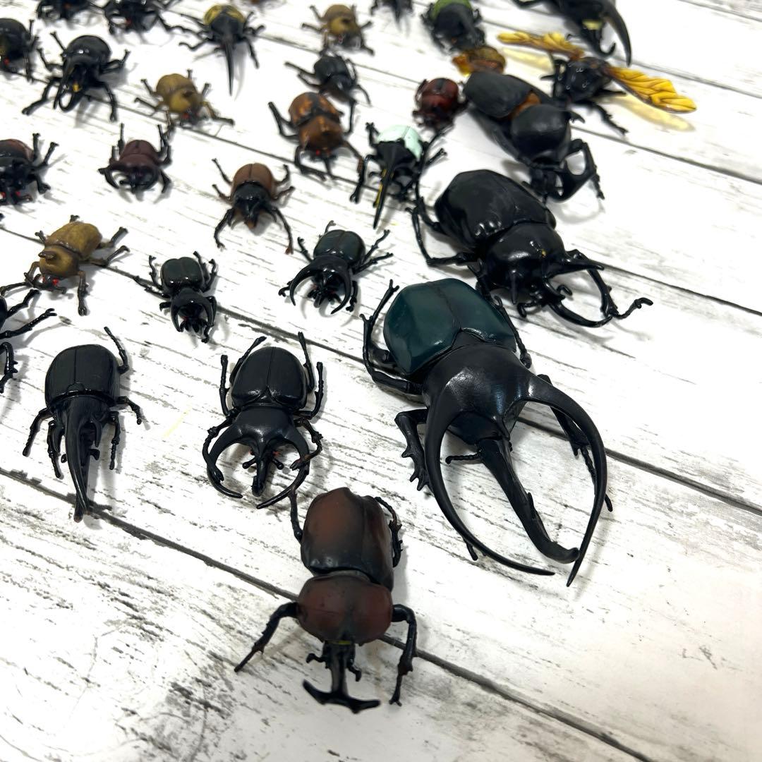 昆虫　フィギュア