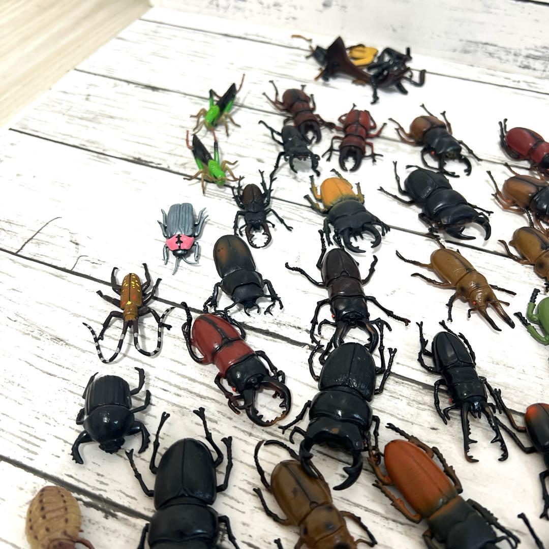 昆虫　フィギュア