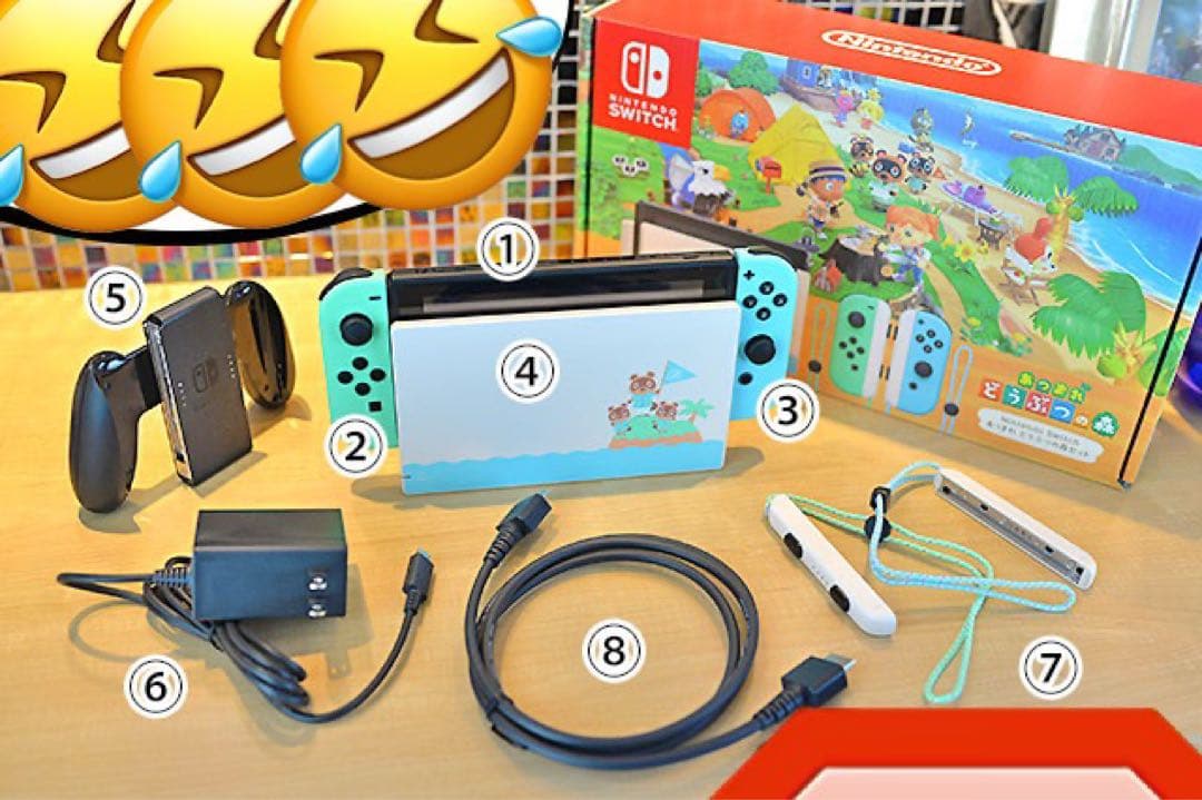 Nintendo Switch あつまれどうぶつの森Ver➕中古コントローラー付