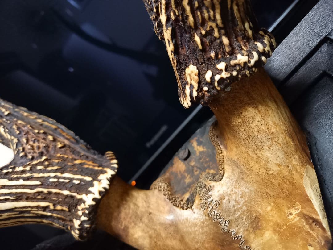 希少　アイヌ　民芸　楔　手彫り　ヴィンテージ　ハンティングトロフィー