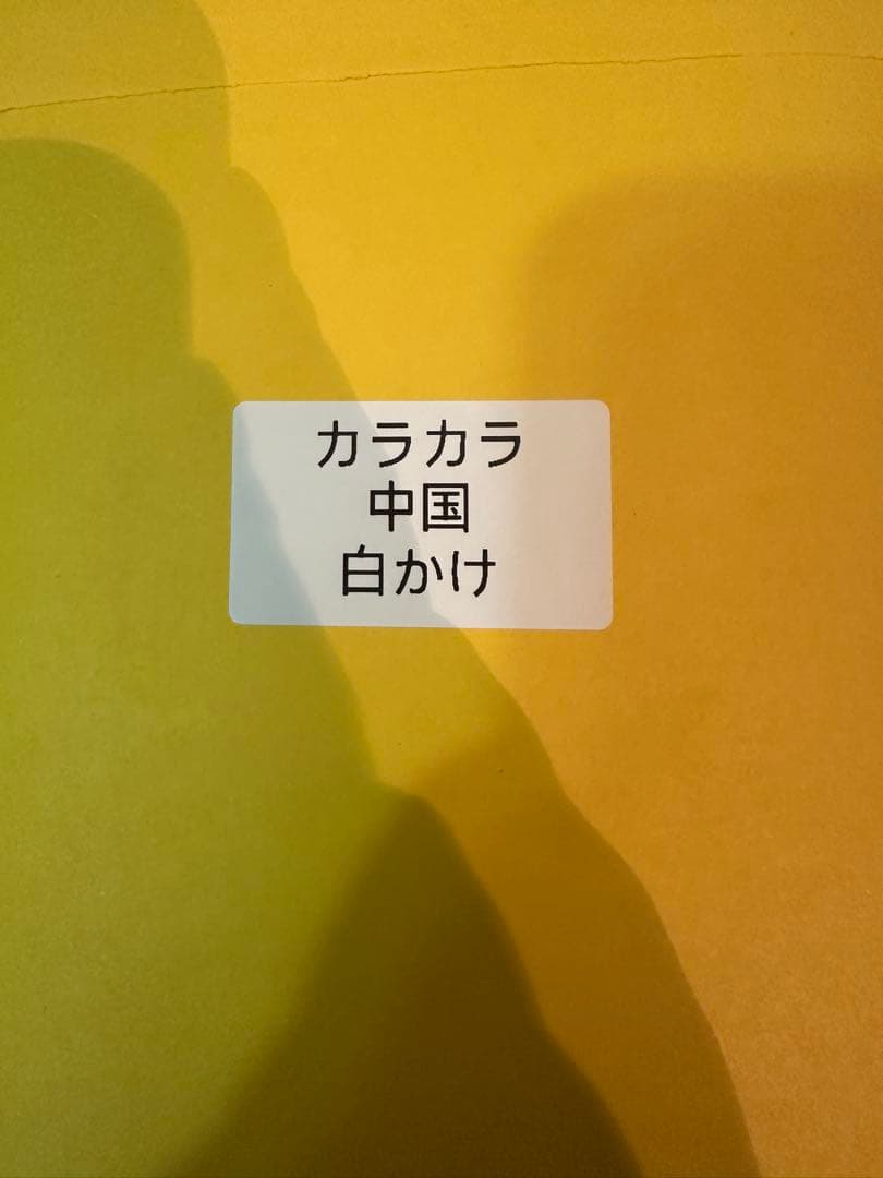 中国限定 ポケモンカードゲーム 宝石パックVOL.3 カラカラAR 白かけあり
