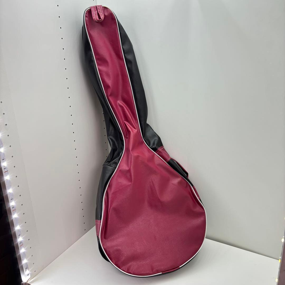 希少 バンドゥリア 小型 リュート属 12弦 撥弦楽器 スペイン ラテンアメリカ