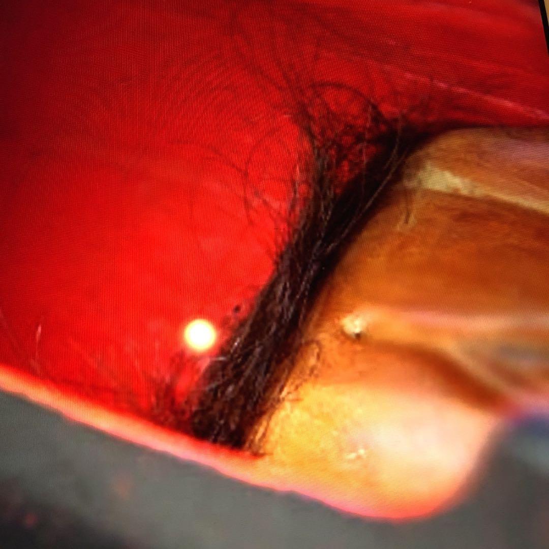 時代木造春画細工男根女陰福神厨子入子宝夫婦円満子授個人旧家整理品珍品