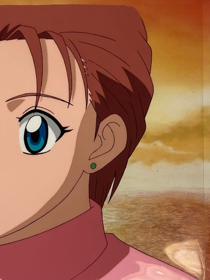 c８０　中判ハンターハンターセル画【ミト】動画.背景画付き