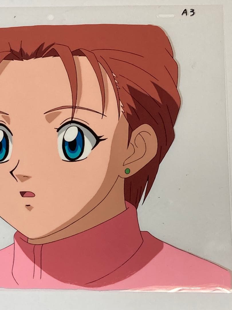 c８０　中判ハンターハンターセル画【ミト】動画.背景画付き