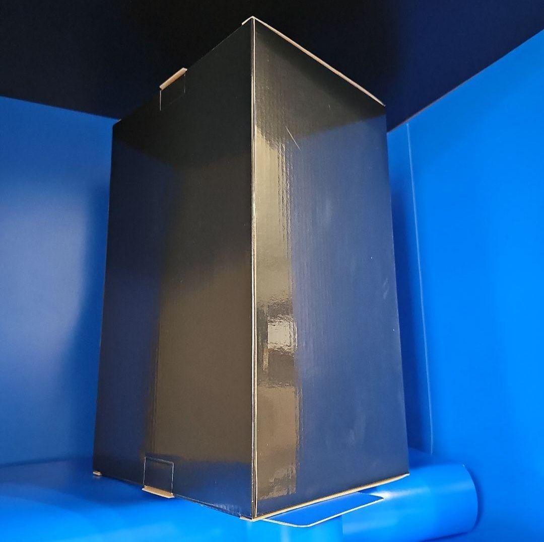 【新品】バイオハザード RE2 コレクターズエディション レオン フィギュア