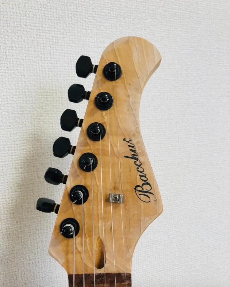 Bacchus BST-1R 3TS ストラトタイプ サンバースト ソフトケース