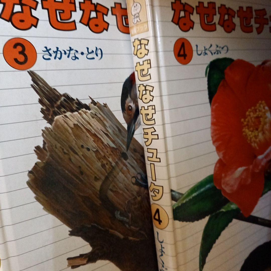 なぜなぜチュータ 　1～15巻　幼児　低学年　本