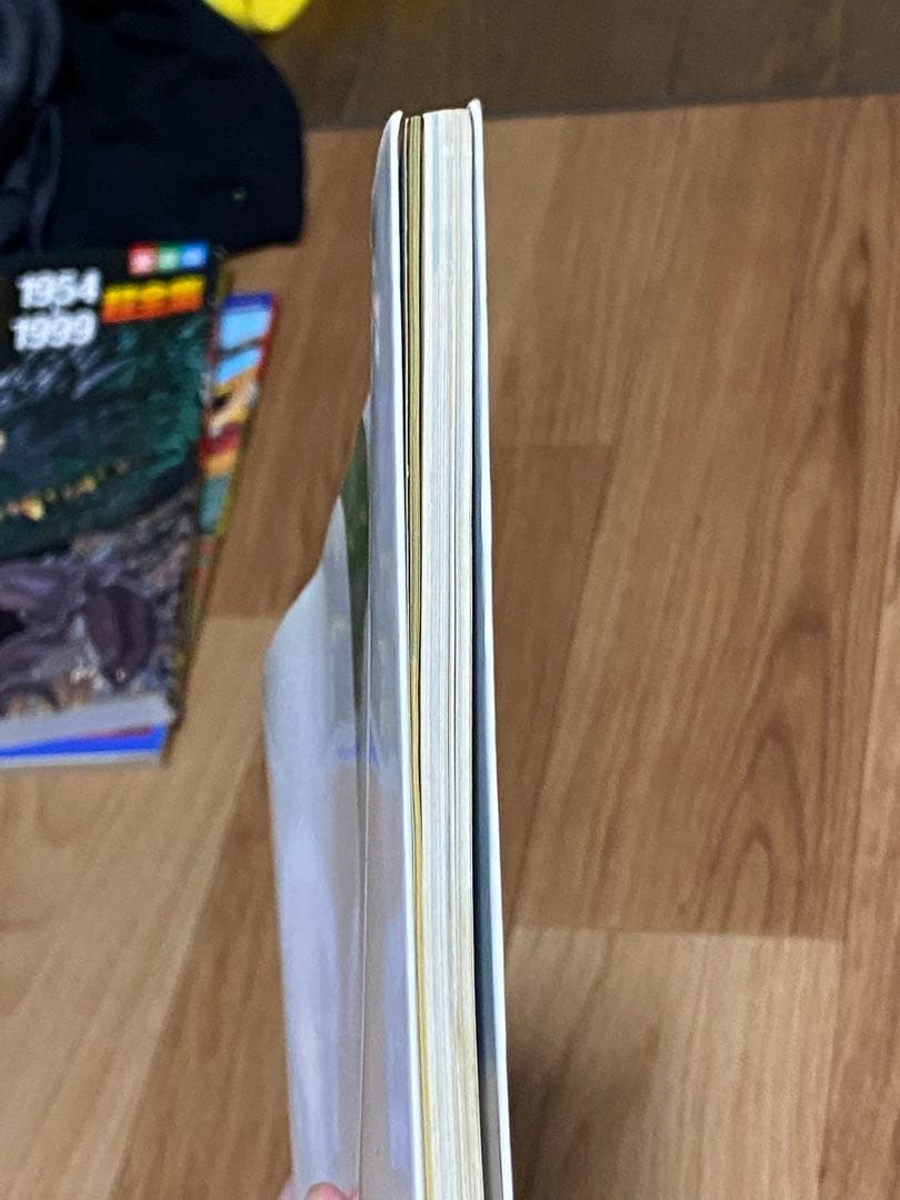 【希少】【美品】 鳥山明 the world 画集 ドラゴンボール アラレちゃん