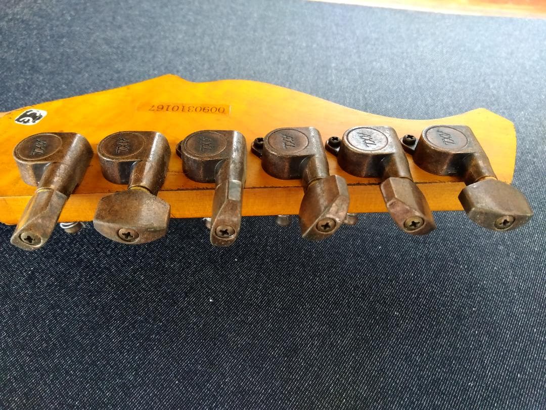 AXL Guitars Badwater SRO アクセルギターズ