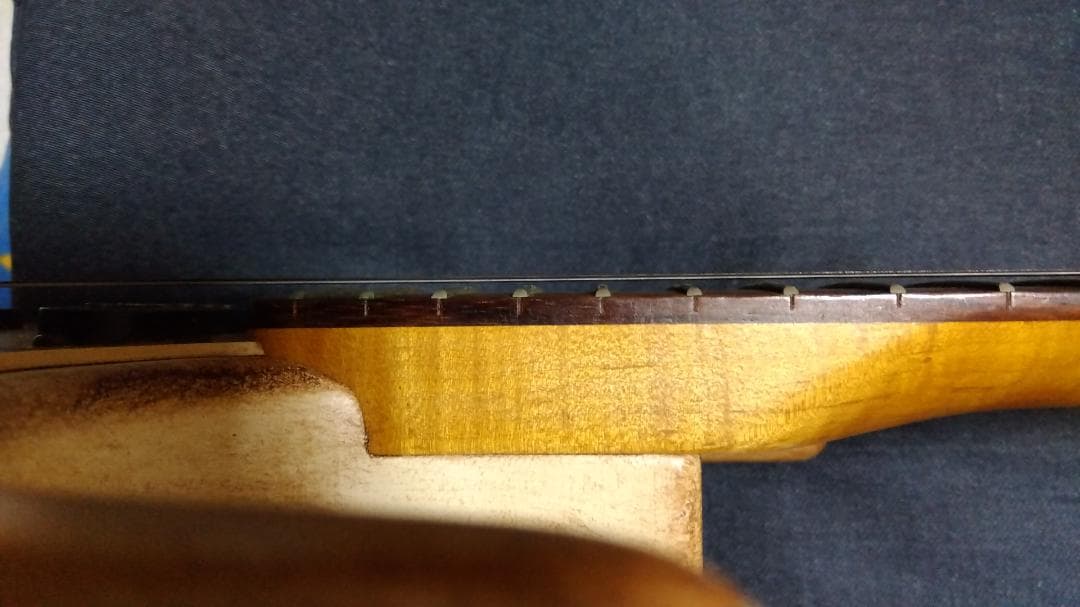 AXL Guitars Badwater SRO アクセルギターズ