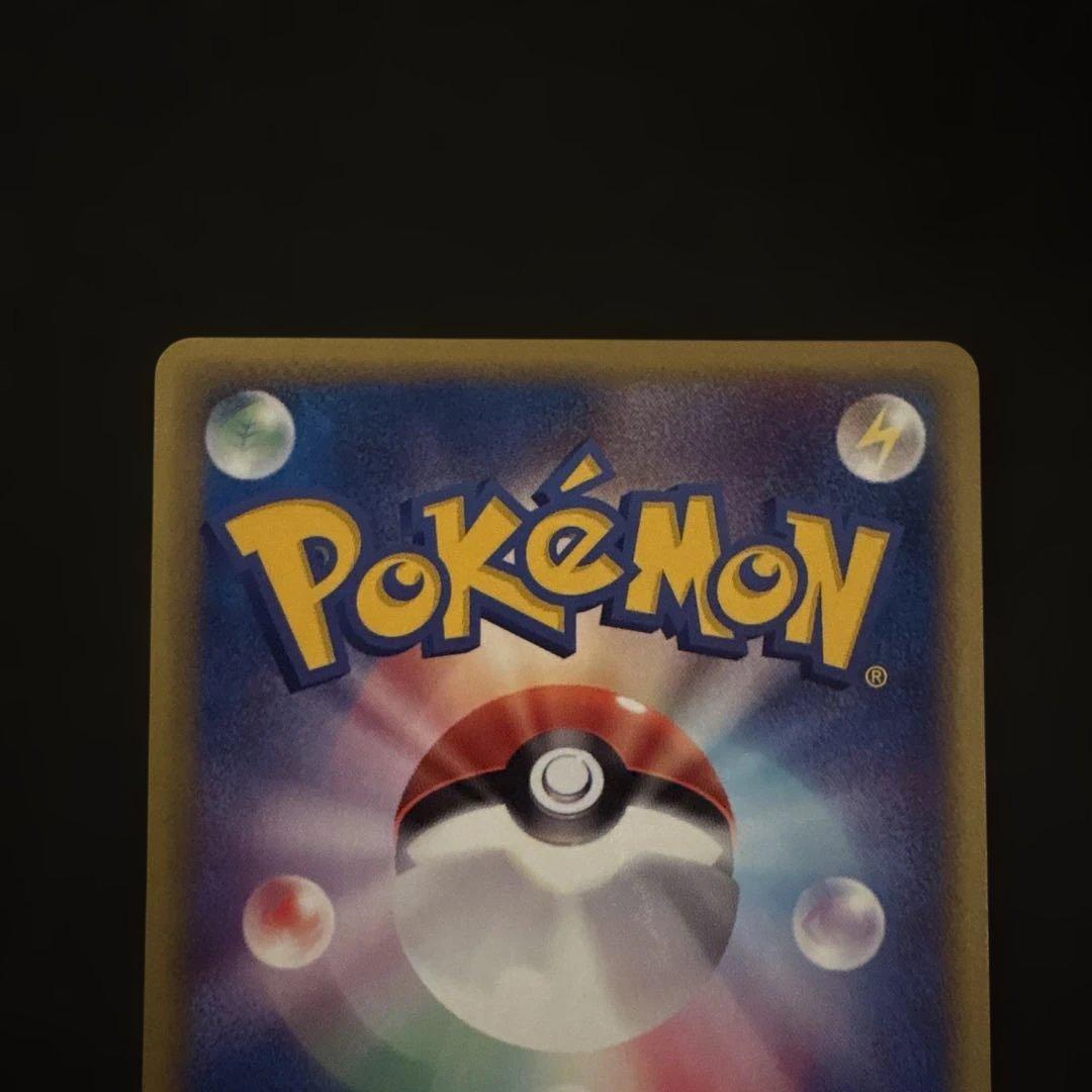 リザード・カメール・トレーナーズマガジンプロモまとめ売