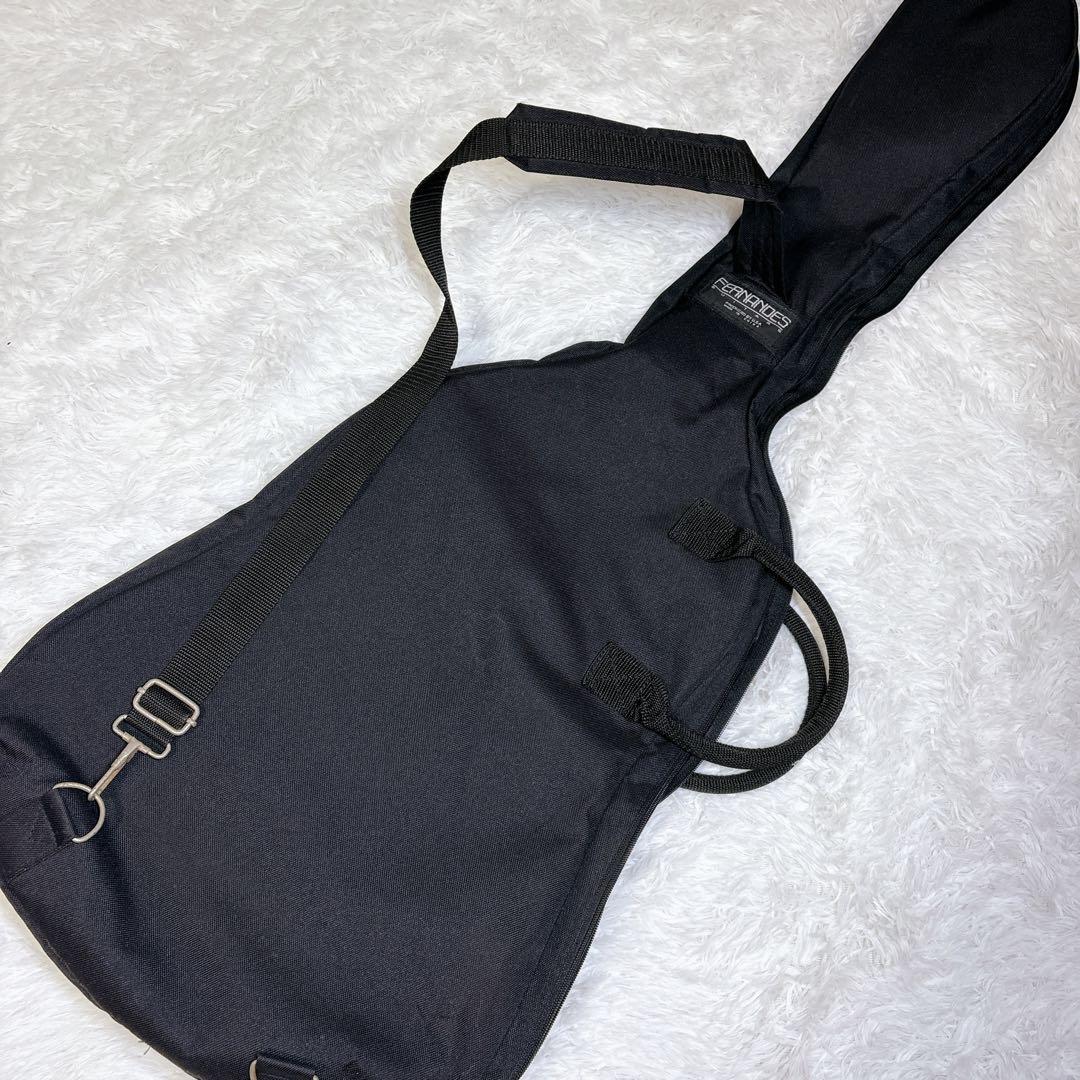 【希少】 FERNANDES FGZ-420 キルトメイプル トレモロアーム