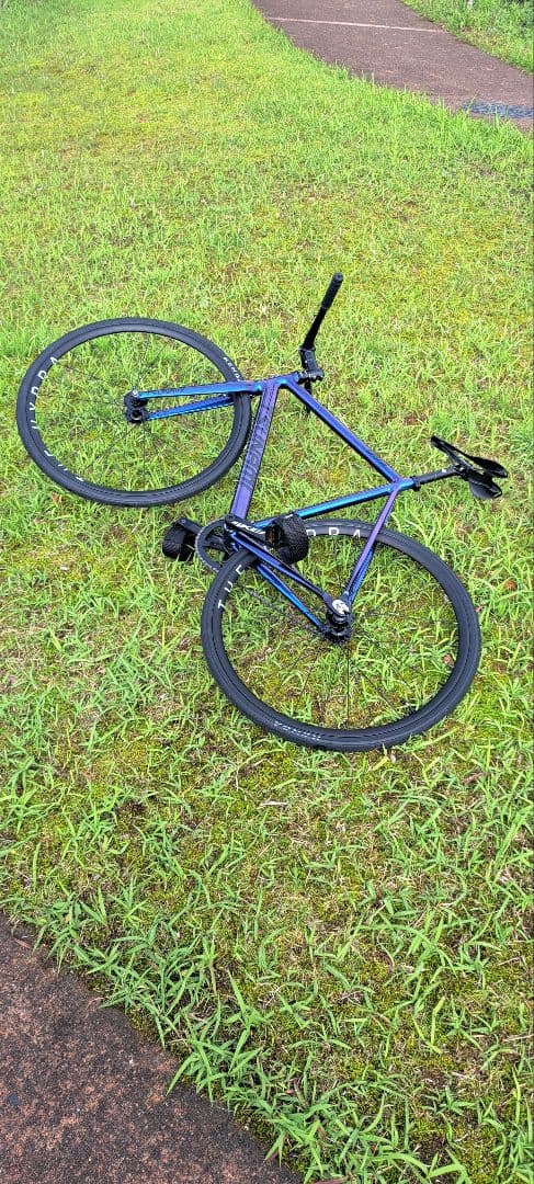 TSUNAMI SNM100 Chameleon 55CM　フレーム