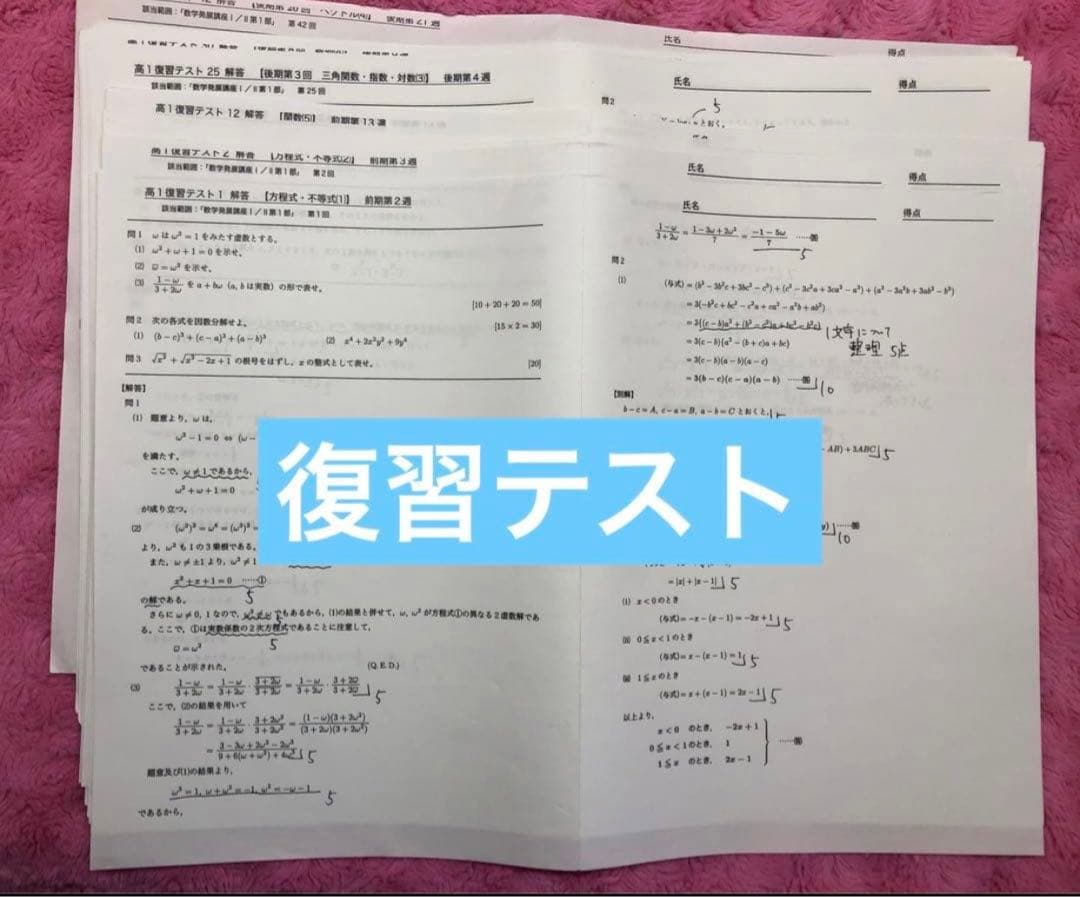 確認用【フル独学可】鉄緑会 高1 数学 発展講座I/II ノート　プリント　講習