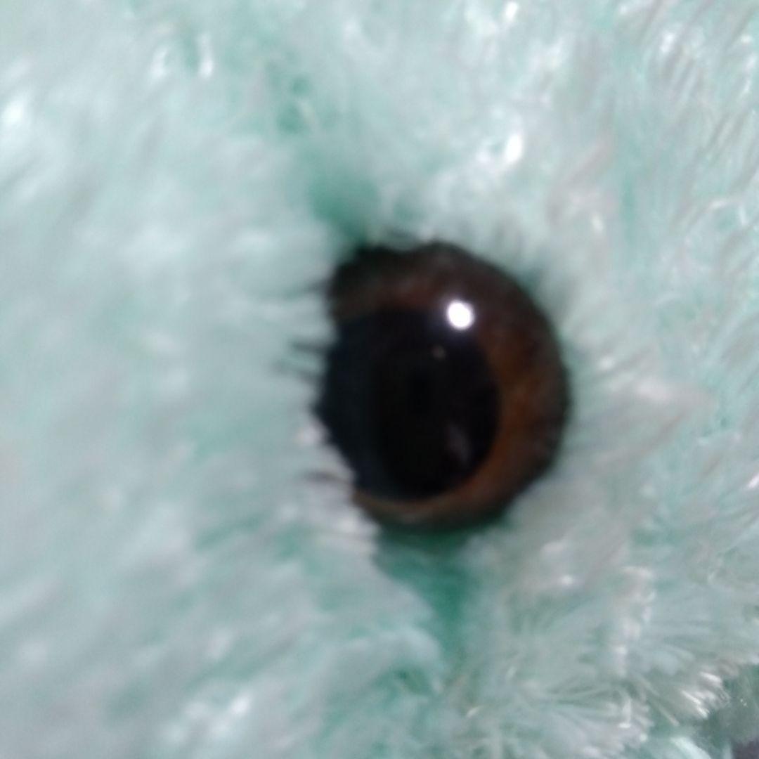 WDW ミント　ダッフィー　☆希少☆