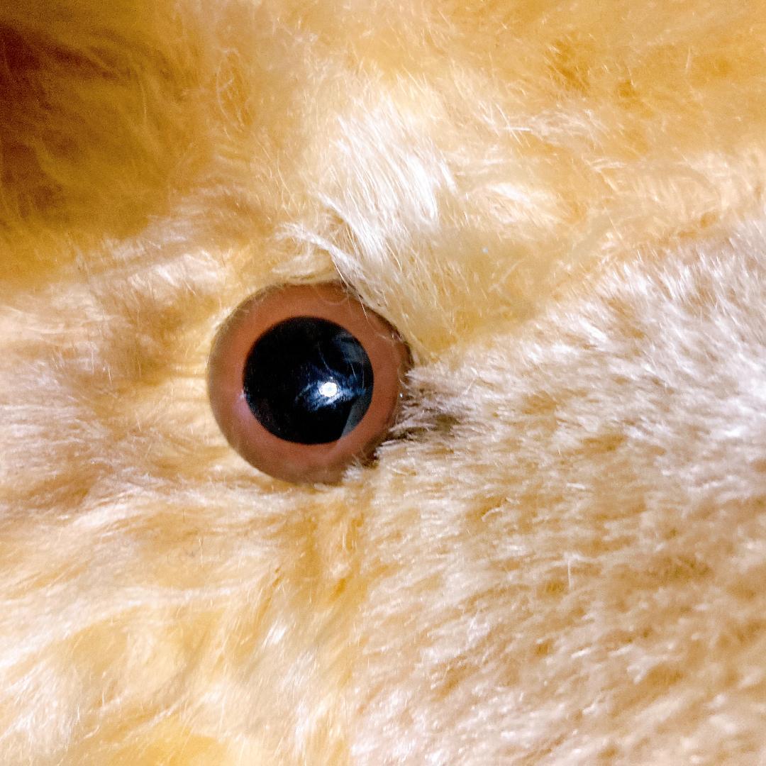 シュタイフ Jackie 1953年 レプリカ 75cm　|3421|☆