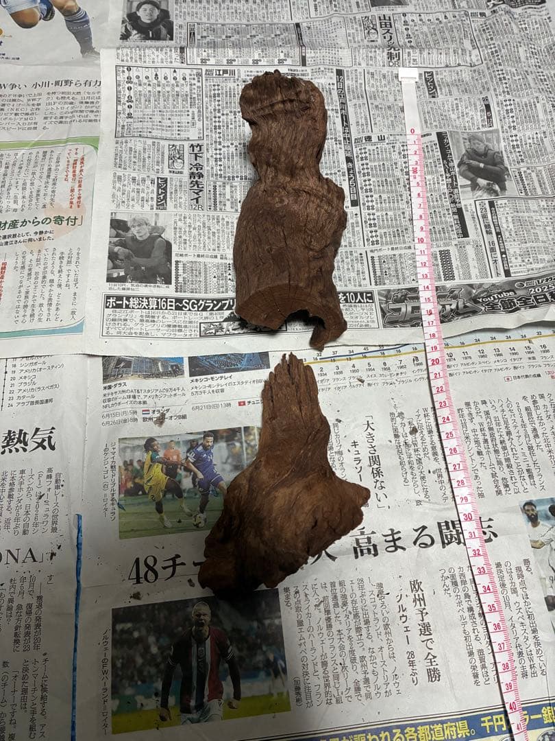 【沈下処理済み】ブラックスマトラブランチウッド