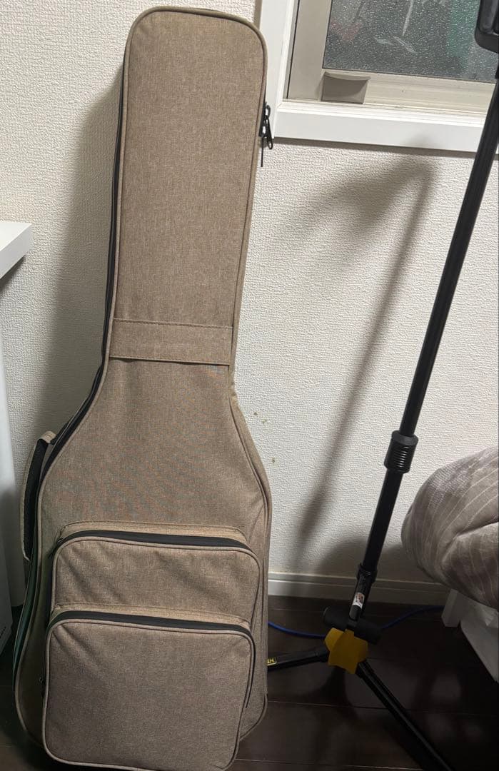 エレキギター vasilisk VAS-01