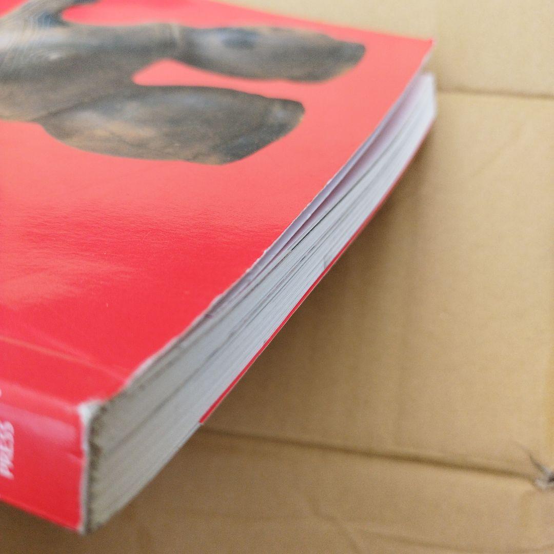 POWER OF DOGU 大英博物館2009年175P SC右上わずかにウチ