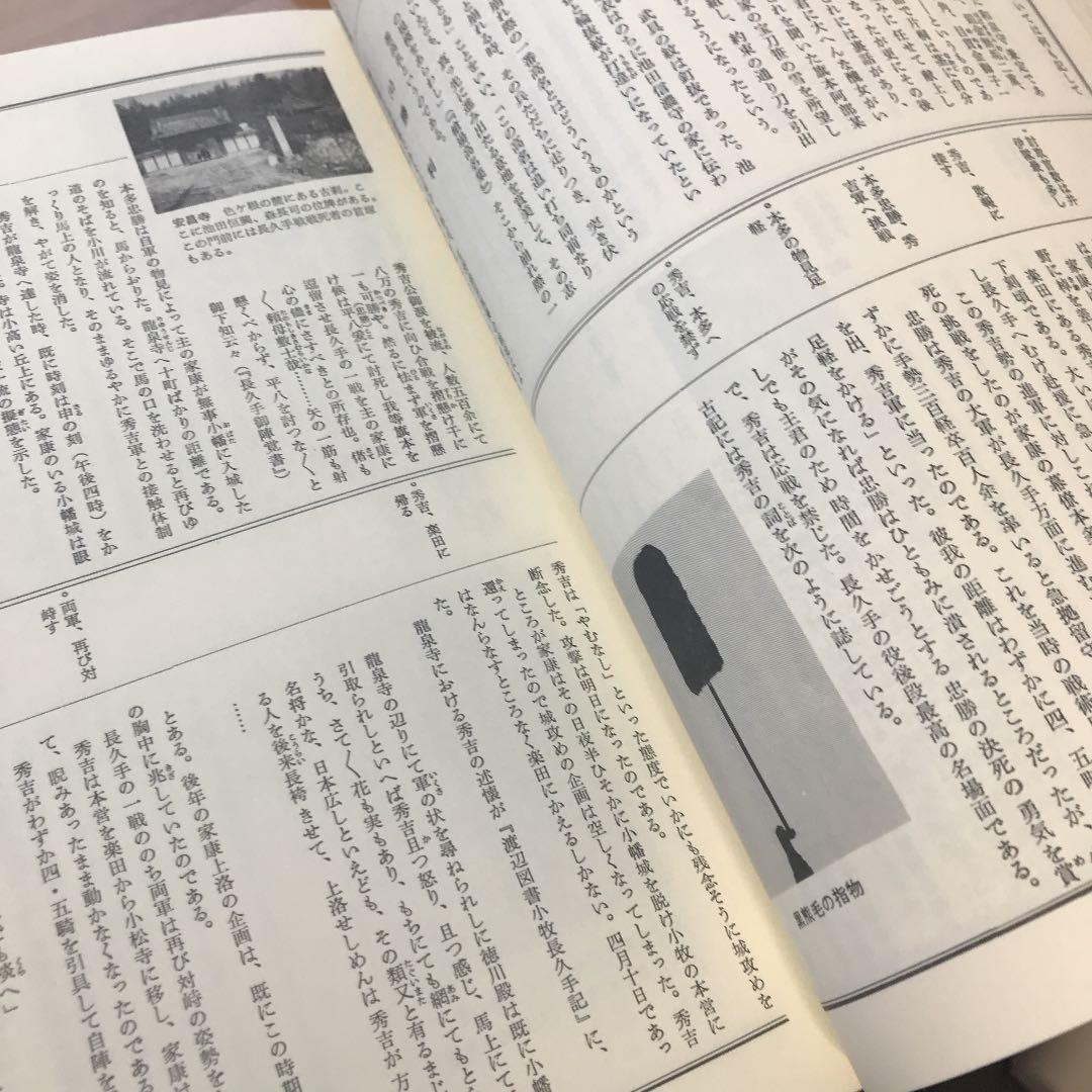 井伊軍志 井伊直政と赤甲軍団【中村達夫 著/彦根藩史料研究普及会 刊】