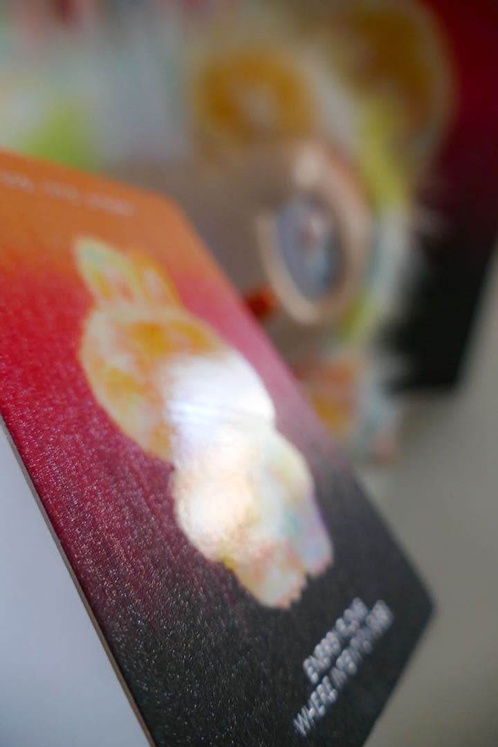 正規品 ラブブBIG INTO ENERGY Rock The Universe