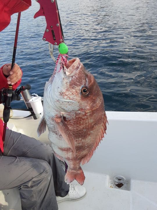 タイラバヘッド タングステン