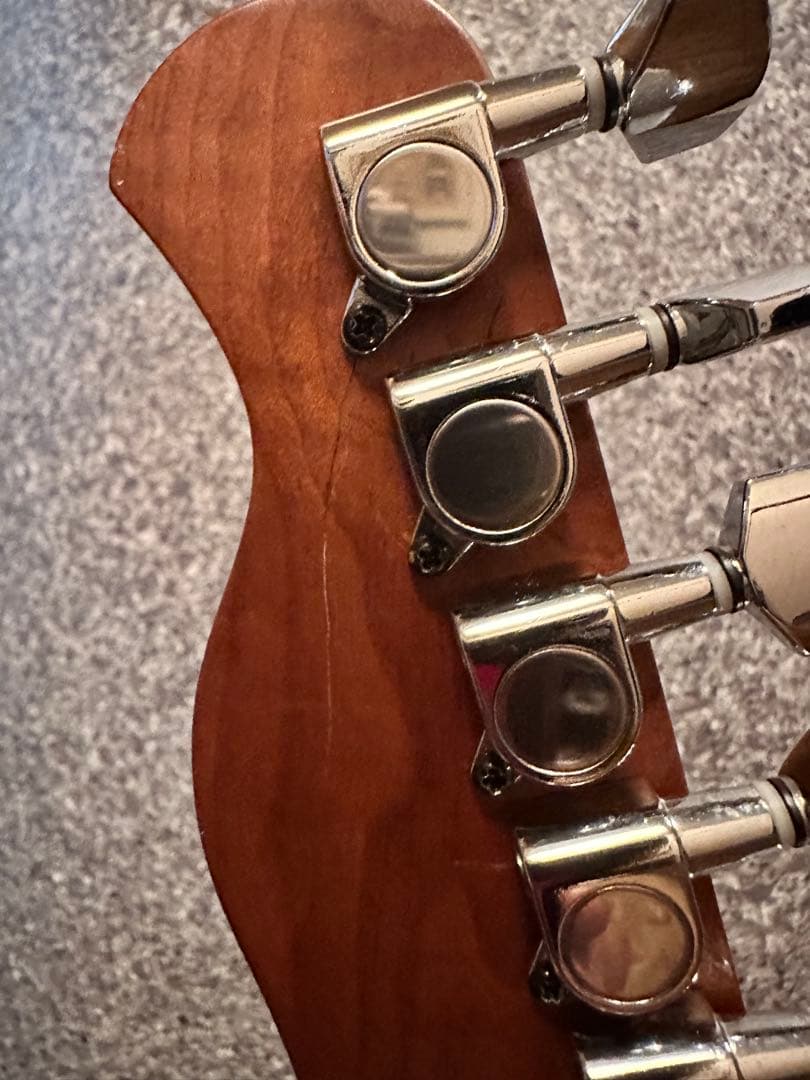 【怒犬-Dokken-】バッカス ユニバース テレキャスBTE-3改