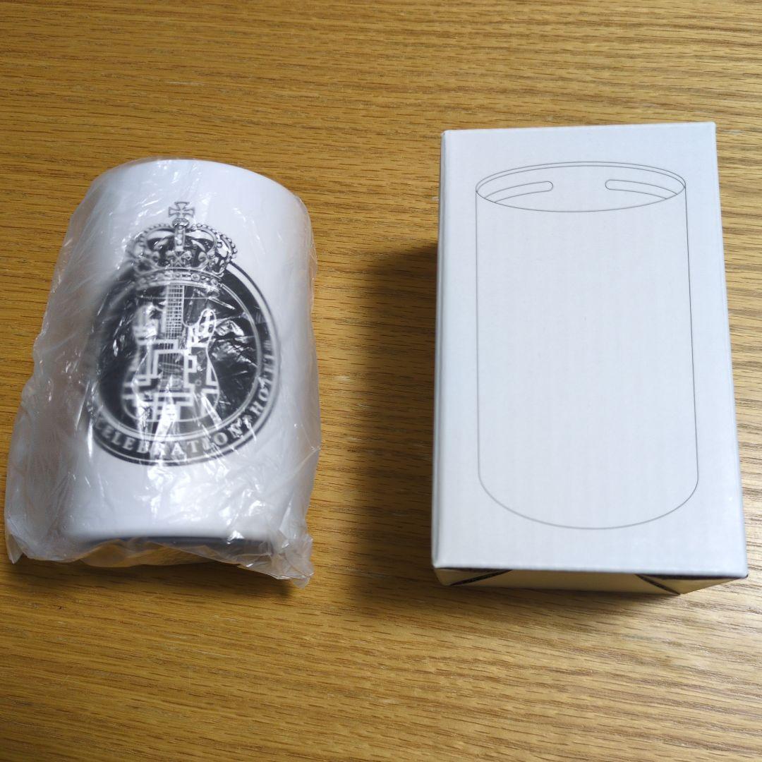 値下不可 布袋寅泰 HOTEI 45th CELEBRATION GIGS ⑫