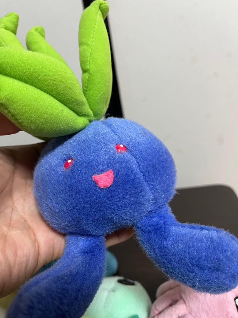 ポケモンぬいぐるみギフトボックス　限定