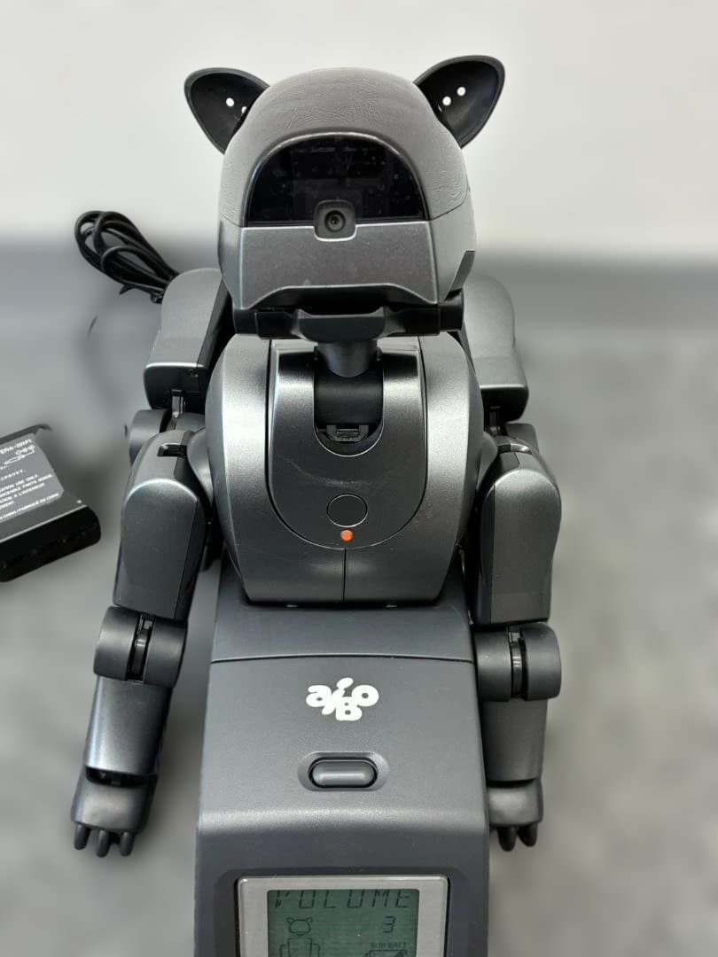 【レア】SONY AIBO ERA-210P1 ジャンク アイボ 通電確認済み