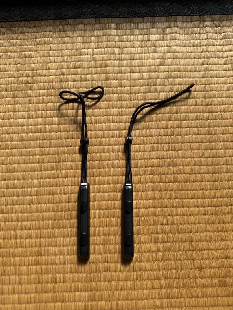 Nintendo Switch 紫とオレンジ