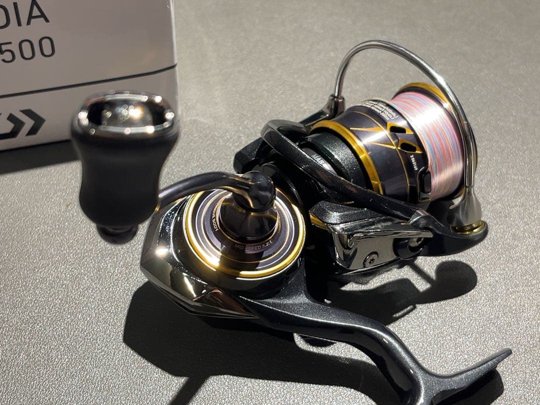ダイワ 21カルディアLT2500 pe0.8付