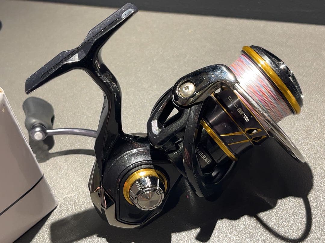 ダイワ 21カルディアLT2500 pe0.8付