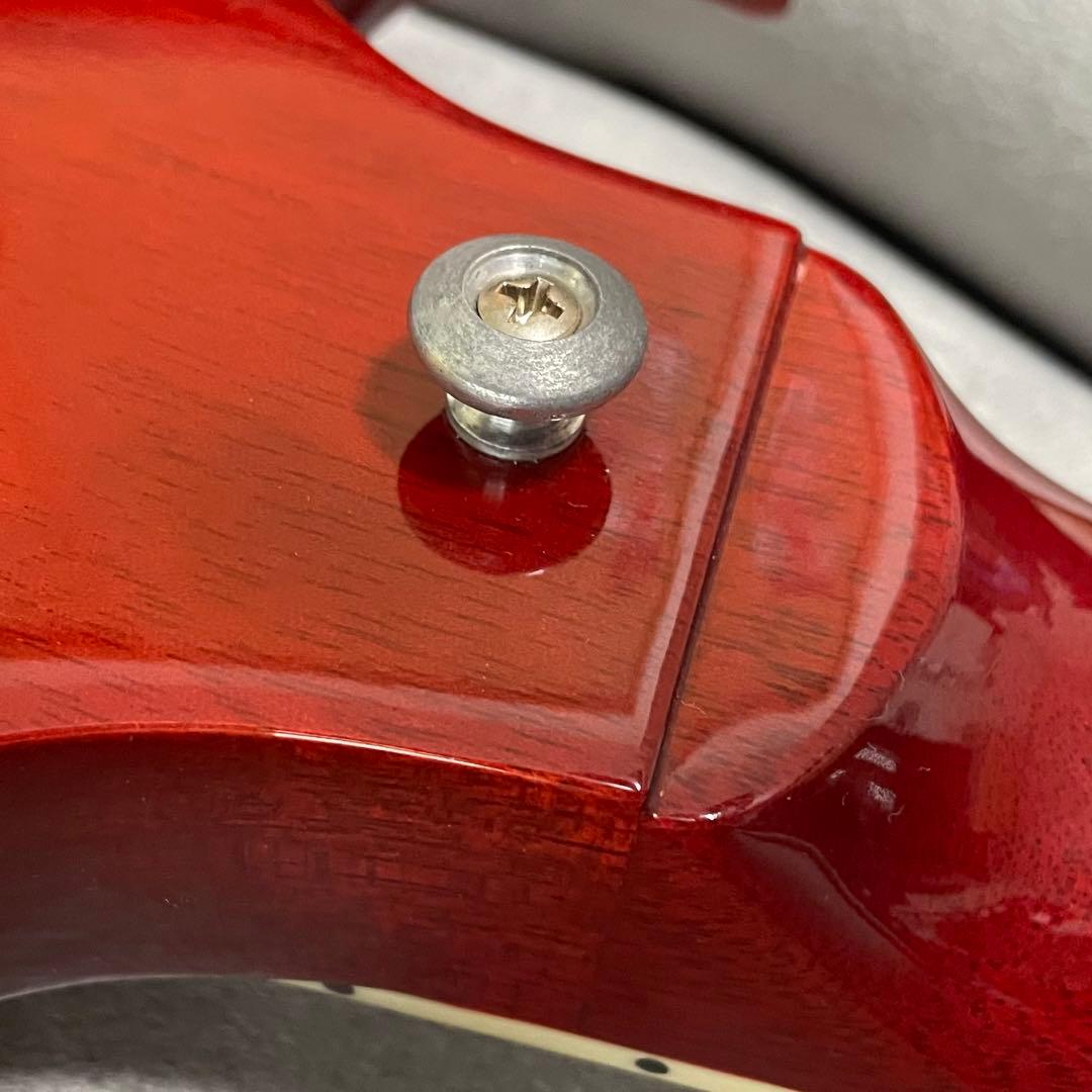 Gibson SG standard 2019 本体、付属品、ソフトケース