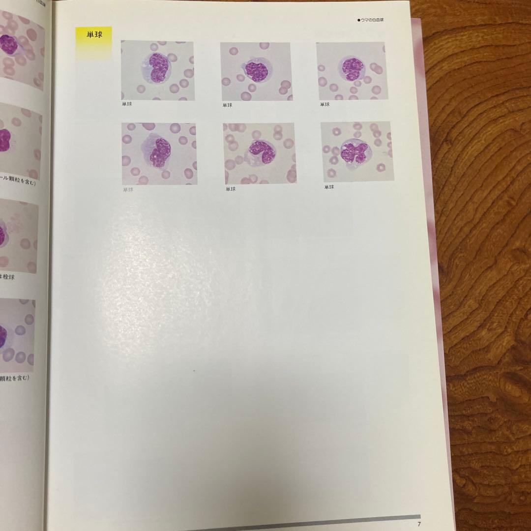 家畜血液図説 チクサン出版