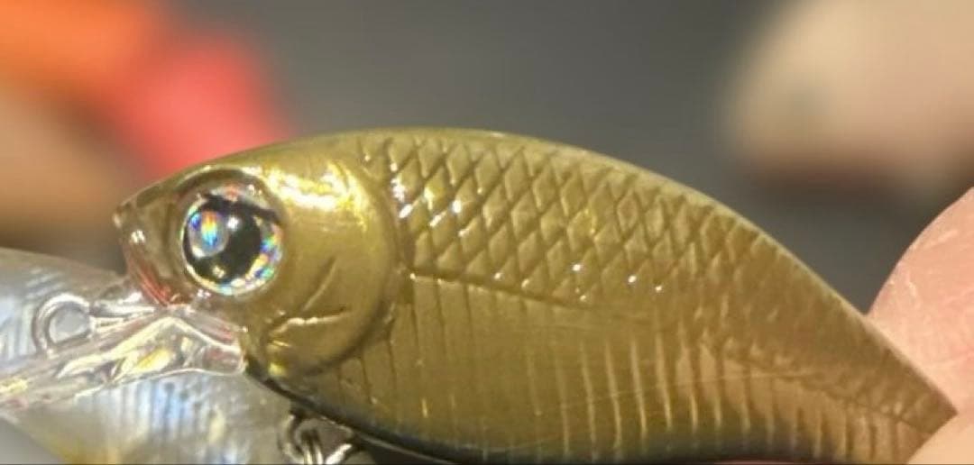 エリアトラウトルアーセット