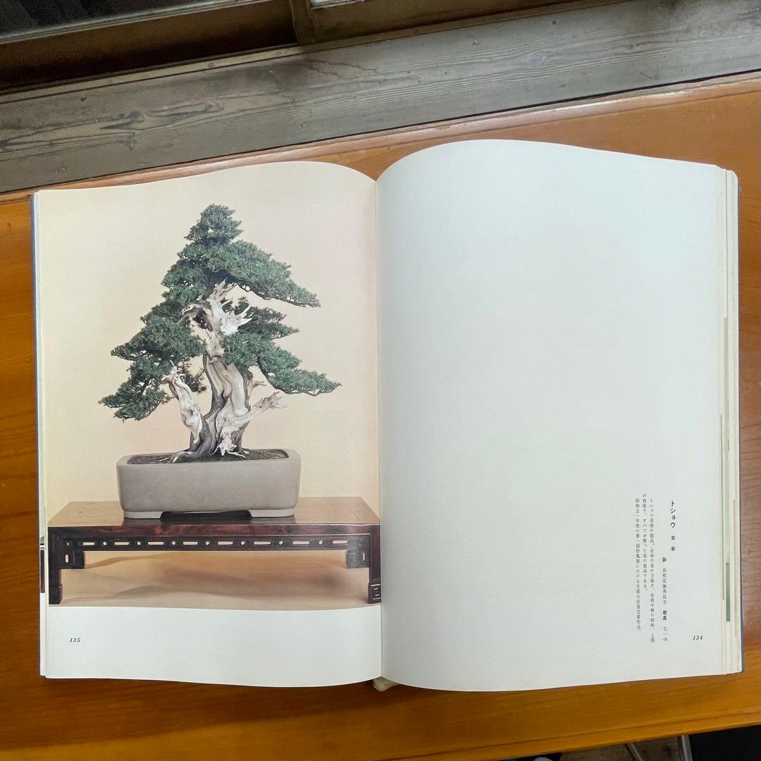 松柏盆栽大観 BONSAI MASTERPIECES OF CONIFERS