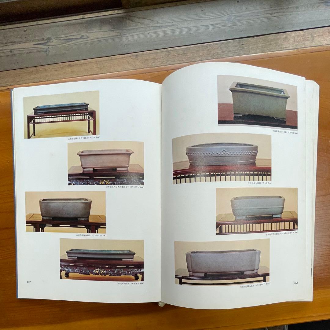 松柏盆栽大観 BONSAI MASTERPIECES OF CONIFERS