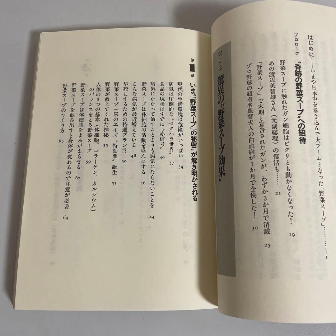 「元祖」野菜スープ強健法 : ガン細胞も3日で消えた!?