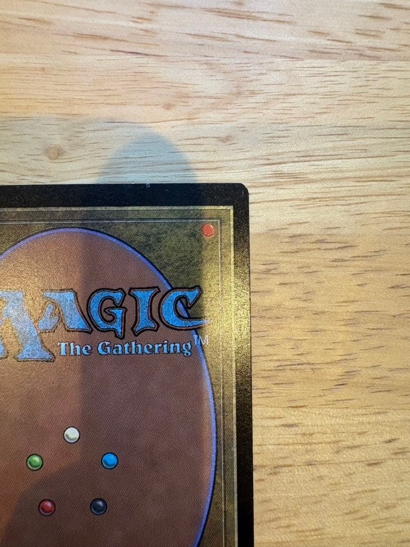 mtg 樹上の村 foil