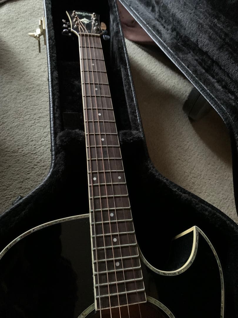 washburn/ワッシャバーン エレアコ ヌーノベッテンコート