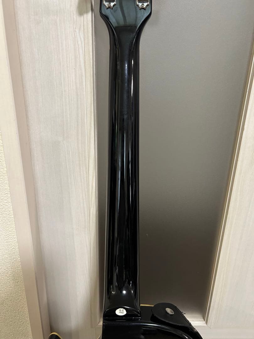 maison エレキギター