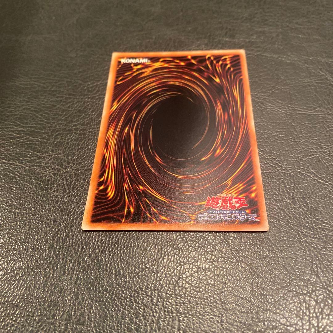 【完美品】ブラック・ローズ・ドラゴン