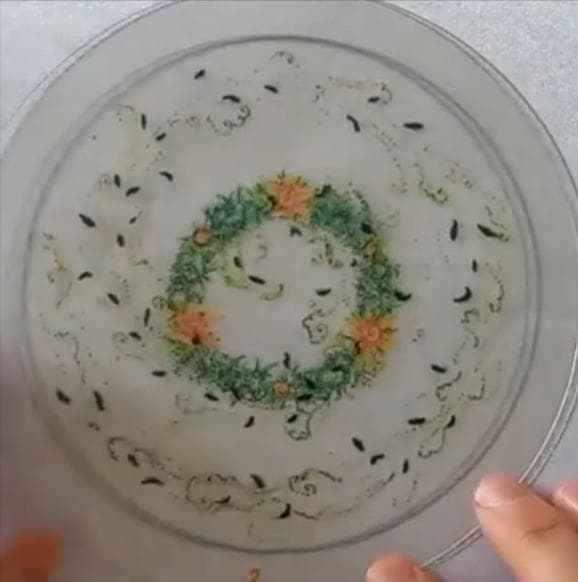 【正規品】革新的✨透明なクリアオラクル✨Transparent Oracle