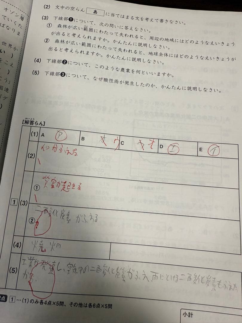 サピックスsapix5年　理科と社会　フルセット98冊　2022年版　一部未記入