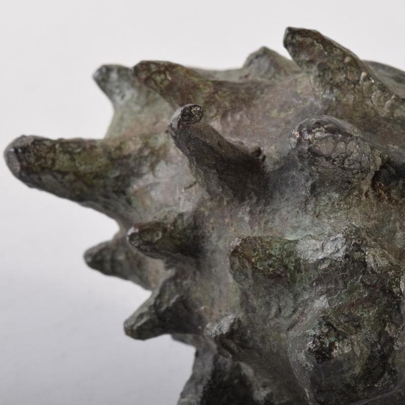 茶道具　古銅　栄螺形　蓋置　時代箱　V　7235