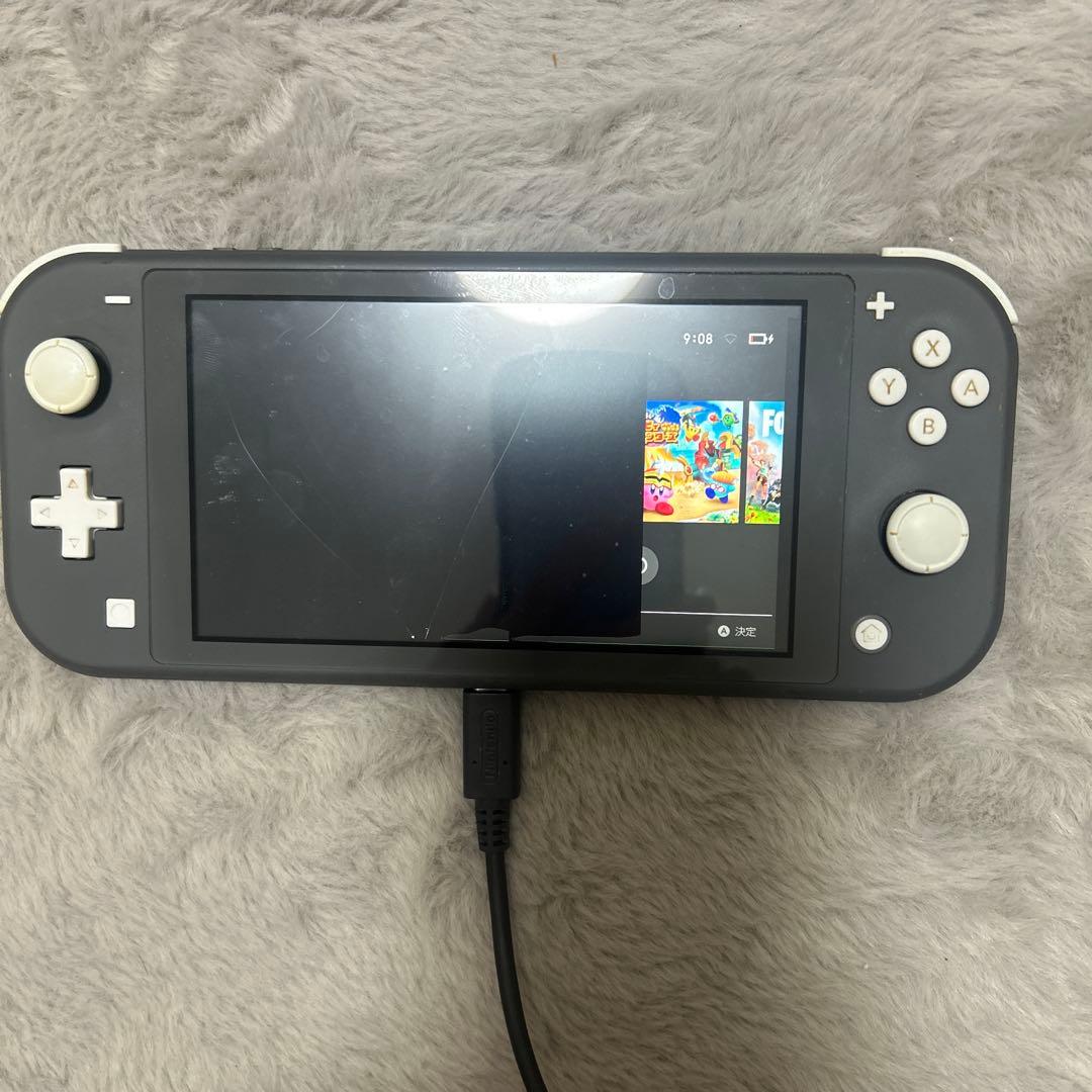 Nintendo Switch Lite グレー 本体 充電器付き