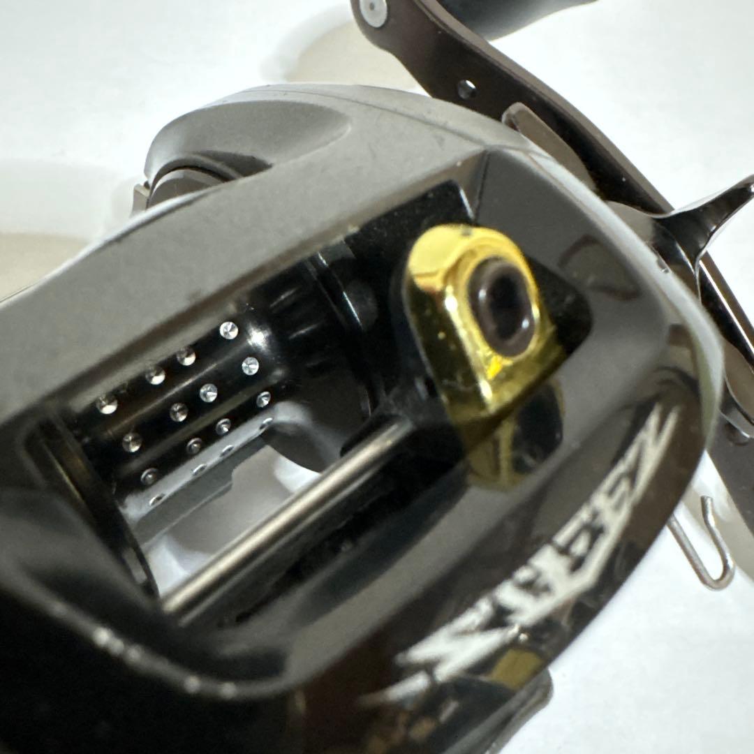 ダイワ スティーズ 100HL STEEZ 釣具　リール　ルアー